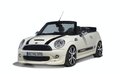 MINI Mini MINI Cooper Cabrio敞篷图片