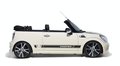 MINI Mini MINI Cooper Cabrio敞篷图片
