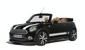 MINI Mini MINI Cooper Cabrio敞篷图片