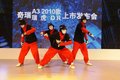 瑞虎 奇瑞 09款 瑞虎3图片