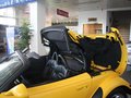 猎兽Prowler 克莱斯勒(进口) 猎兽Prowler图片