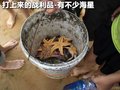 陆风X8 陆风 陆风X8图片