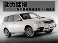 森林人 斯巴鲁 森林人 2010款图片