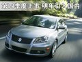 凱澤西 鈴木(進(jìn)口) kizashi圖片