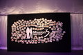 宝马3系 华晨宝马 新3系 2010款图片