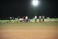 宝马3系 华晨宝马 新3系 2010款图片