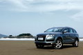 奥迪Q7 奥迪(进口) Q7 2010款图片