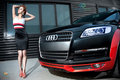 奥迪Q7 奥迪(进口) Q7 2010款图片