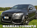 奥迪Q7 奥迪(进口) Q7 2010款图片