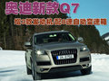 奥迪Q7 奥迪(进口) Q7 2010款图片