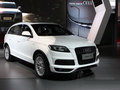 奥迪Q7 奥迪(进口) Q7 2010款图片