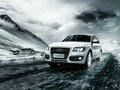 奥迪 Q5