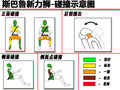 力狮 斯巴鲁 新力狮 Wagon图片