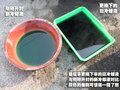 奔腾B70 一汽奔腾 奔腾 B70 2010款图片