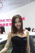 標致307 東風標致 新307三廂 2010款圖片