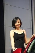 標(biāo)致307 東風(fēng)標(biāo)致 新307三廂 2010款圖片