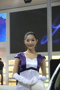 标致307 东风标致 新307三厢 2010款图片