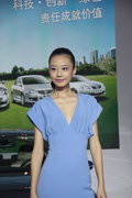 標致307 東風(fēng)標致 新307三廂 2010款圖片