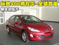 标致307 东风标致408图片