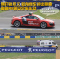 标致307 东风标致 新307三厢 2010款图片