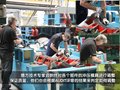 速腾 参观大众生产线图片