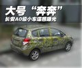 悦翔 长安 悦翔两厢图片