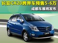 悦翔 长安 悦翔两厢图片