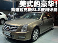 SLS赛威 新SLS 2010款图片