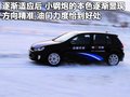 高尔夫 一汽-大众 高尔夫GTI图片