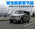 奔驰G级 奔驰(进口) G系图片