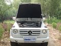 奔驰G级 奔驰(进口) G系 G500图片