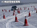 奇瑞A3 奇瑞 A3 三厢 2010款图片