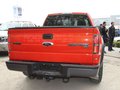 福特F-150猛禽 福特(进口) FORD-150 RAPTOR图片