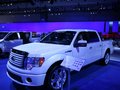 福特F-150猛禽 福特(进口) F系图片