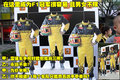 科雷傲（进口） 雷诺 科雷傲 2010款图片