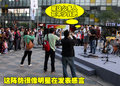 科雷傲（进口） 雷诺 科雷傲 2010款图片