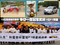 科雷傲（进口） 雷诺 科雷傲 2010款图片