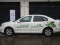 明锐 斯柯达 新明锐 greenline图片
