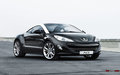 标致RCZ 标致(进口) RCZ 概念车图片