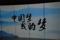 宝马5系 华晨宝马 全新宝马5系图片