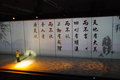 宝马5系 华晨宝马 全新宝马5系图片