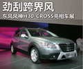 风神H30 东风风神 风神H30 CROSS图片