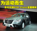 風(fēng)神H30 東風(fēng)風(fēng)神 風(fēng)神H30 CROSS圖片
