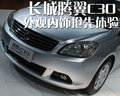 长城C30 长城 腾翼C30图片