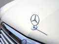 奔驰E级 北京奔驰 E级 长轴版 E260L 优雅型图片
