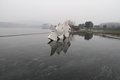 奥迪A8 奥迪(进口) 新奥迪A8L图片