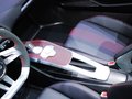 E-tron Concept 奥迪(进口) 奥迪E-tron 概念车局部图片