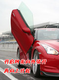 碧莲 日产(进口) 碧莲图片