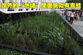 标致3008(进口) 标致(进口) 3008图片