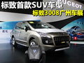 标致3008(进口) 标致(进口) 3008图片